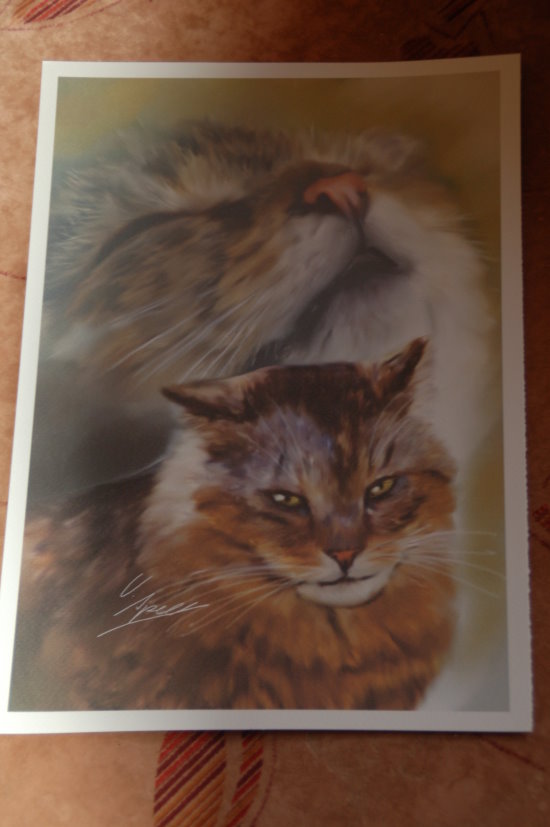 Grautiger.jpg