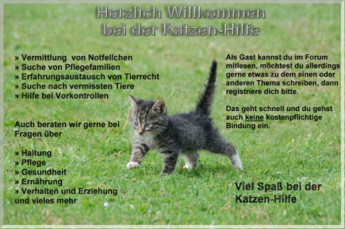 Herzlich Willkommen